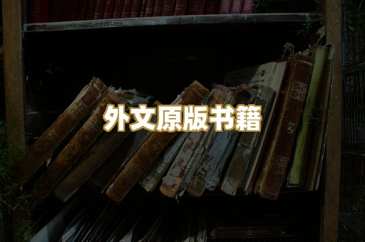外文原版书籍